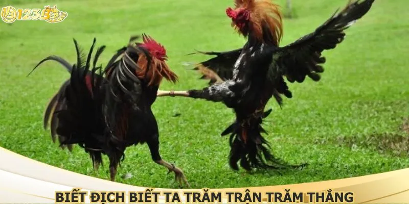 Biết địch biết ta trăm trận trăm thắng