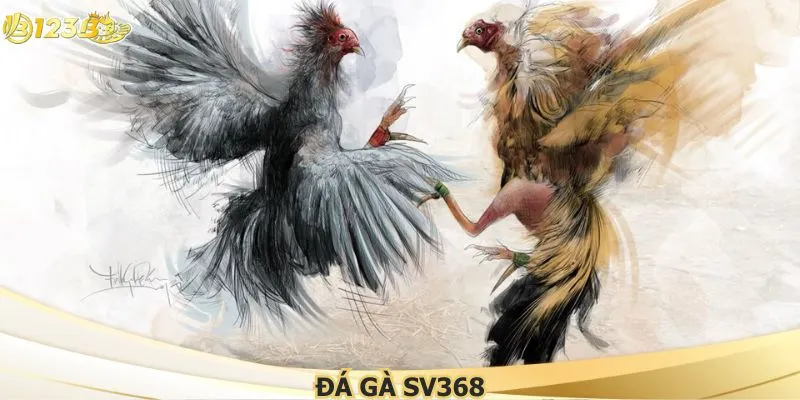 ĐÁ GÀ SV368 TẠI 123B – Đỉnh Cao Giải Trí Trực Tuyến