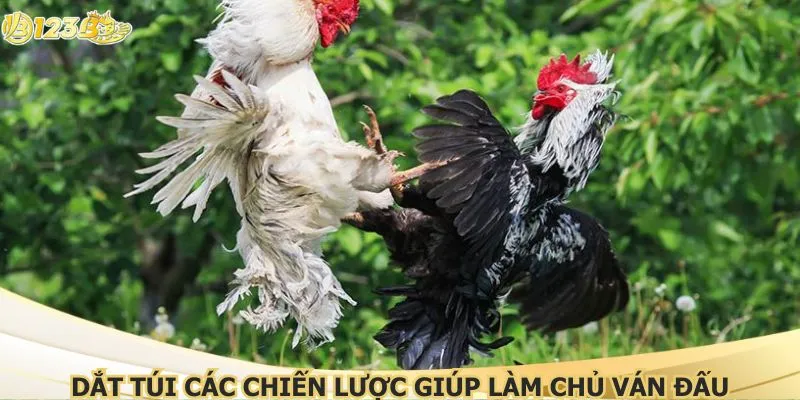 Dắt túi các chiến lược giúp làm chủ ván đấu