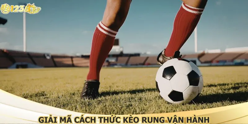 Giải mã cách thức kèo rung vận hành
