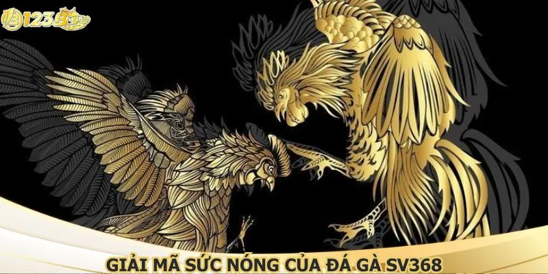 Giải mã sức nóng của đá gà SV368