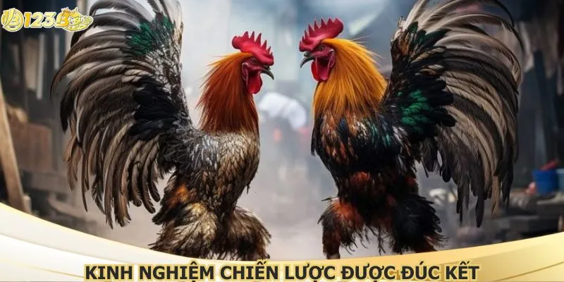 Kinh nghiệm chiến lược được đúc kết