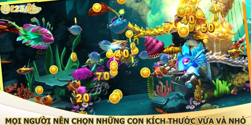 Mọi người nên chọn những con kích thước vừa và nhỏ