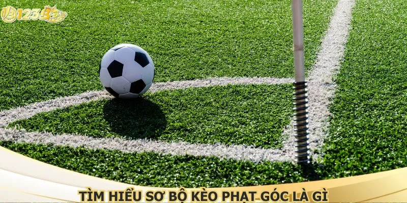 Tìm hiểu sơ bộ kèo phạt góc là gì