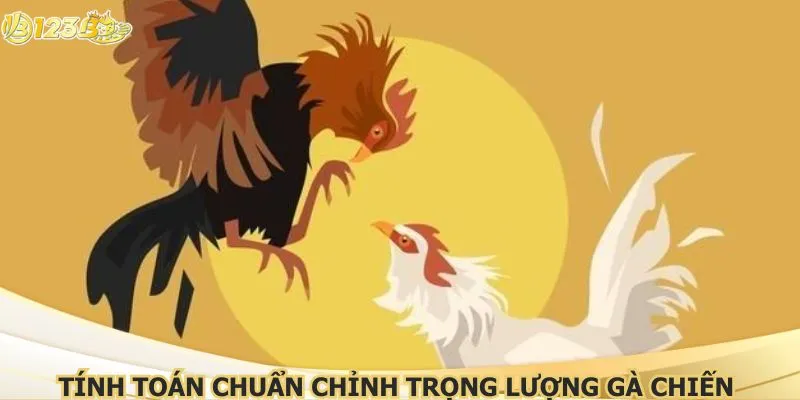 Tính toán chuẩn chỉnh trọng lượng gà chiến 