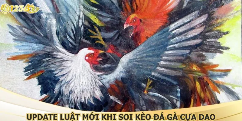 Update luật mới khi soi kèo đá gà cựa dao